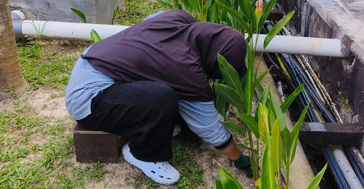 Layanan Labour Supply dan Man Power Gardener Service