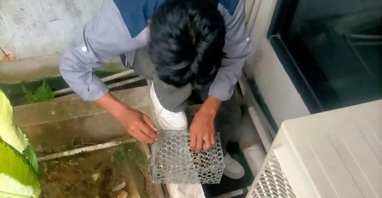 Layanan Labour Supply dan Man Power Pest Control Service