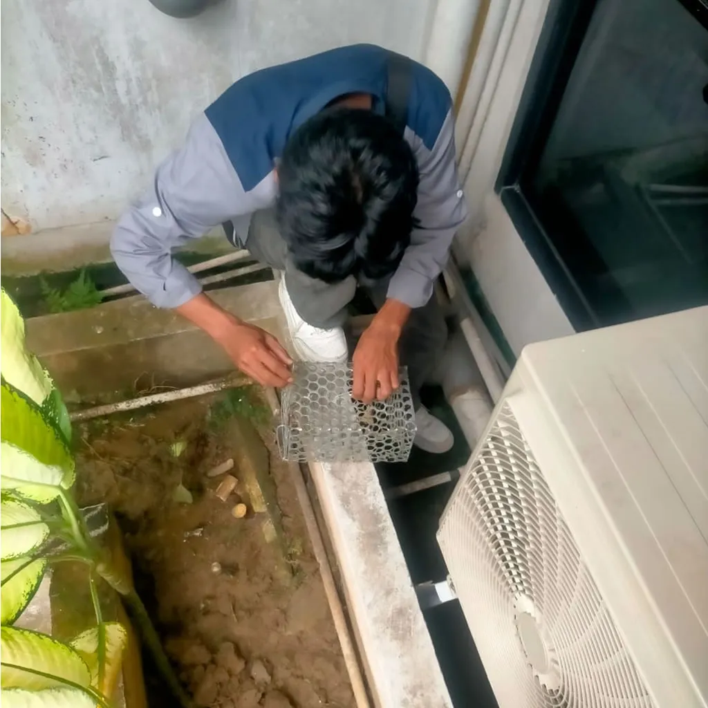 Layanan_Pest_Control